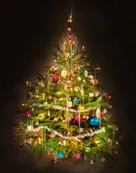 Kerstboom